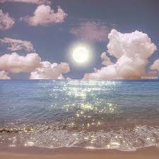 Segurança GaleraBet